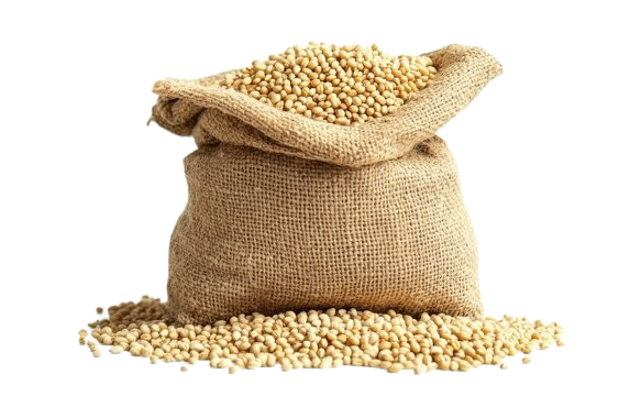 Sorghum_Seed__White_-removebg-preview
