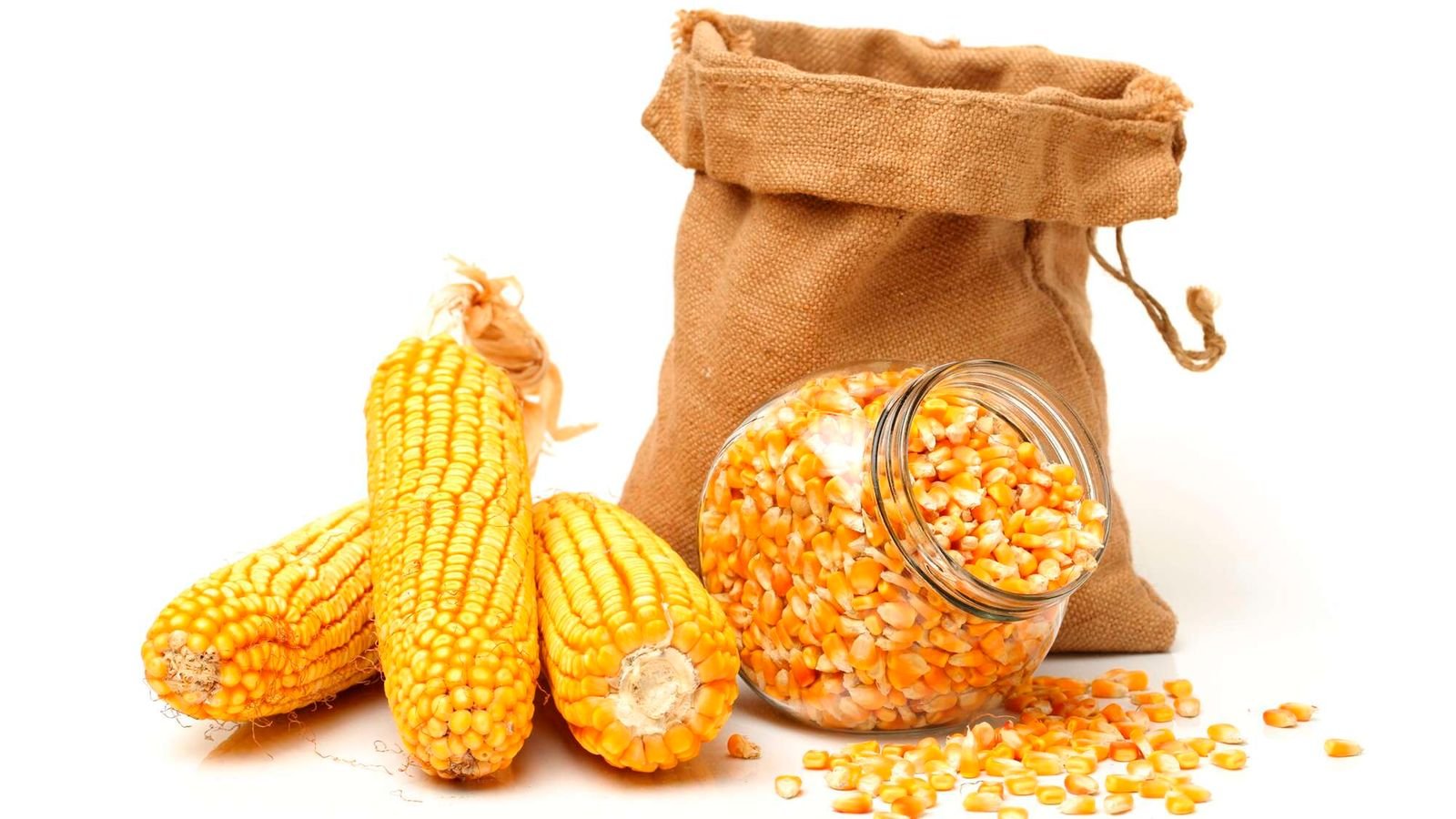 dnyellowmaize
